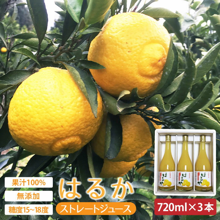 【ふるさと納税】【糖度15〜18度】無添加「はるか」果汁100％ストレートジュース（720ml×3本） 長与町/井上柑橘園 [EAA002] ジュース みかん みかんジュースストレート 100%