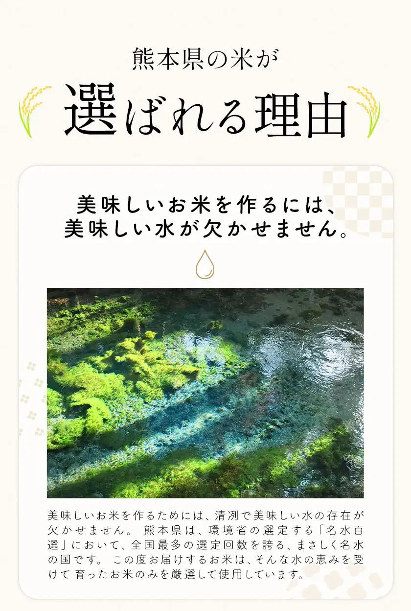 白米 せきゆらり 10kg 熊本県産 国産 白米