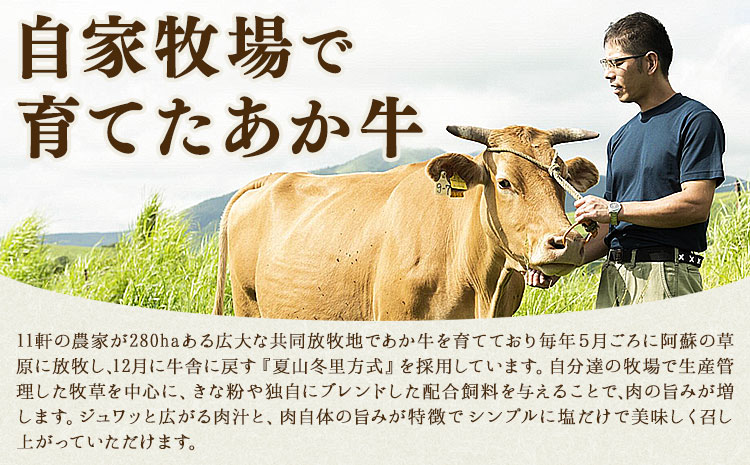 生産者直送！GI認証 くまもとあか牛 すき焼き用 500g ・ 焼き肉用 500g 食べ比べセット山の里《60日以内に出荷予定(土日祝除く)》熊本県 産山村 BBQ 焼き肉 焼肉 すき焼き くまもとあ