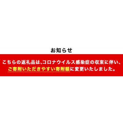 ふるさと納税 日置市 <訳あり・在庫過多>南国酒造・HARAGUCHI高濃度エタノール(6本)  【南国リカー】 |  | 03