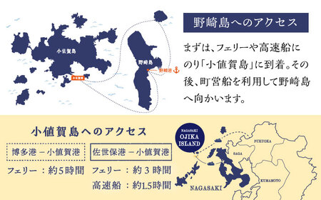 野崎島ガイドツアー 2名様 ＜小値賀町＞長崎県 五島列島 小値賀 ガイドツアー 島旅 旅 世界遺産  2人 ペア  [DAJ012]