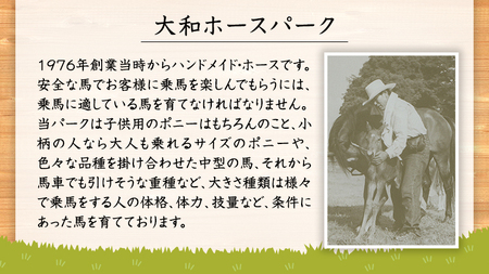 【初心者おススメ】 トムソーヤプレミアムコース 祝休日プラン 乗馬 トレッキング 体験チケット アウトドア [DE006sa]