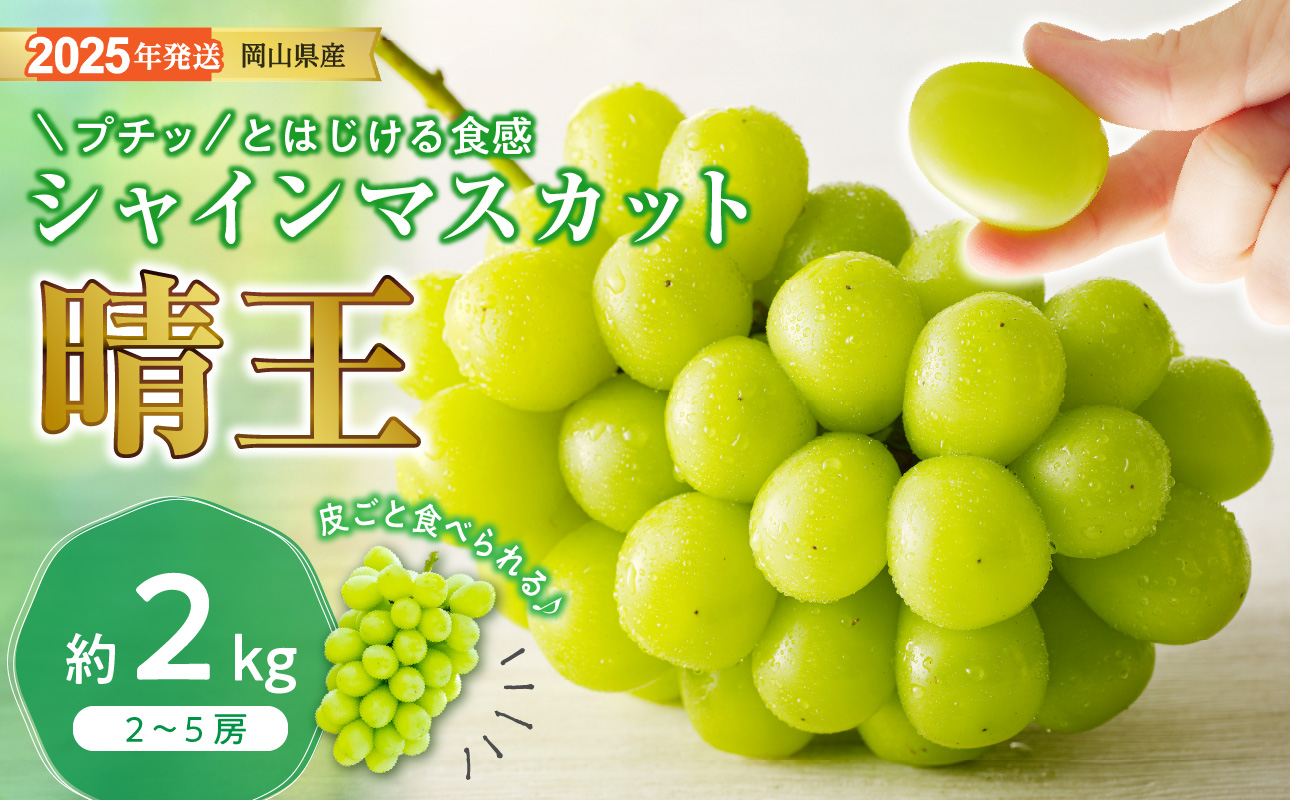【2025年発送分 先行受付スタート】岡山県産シャインマスカット「晴王」　秀品　大房　（約2kg・2～5房程度）（令和７年8月中旬以降発送）【 シャインマスカット 晴王 フルーツ 果物 葡萄 ぶどう 岡山県産 秀品 大房 種無し 高糖度 】