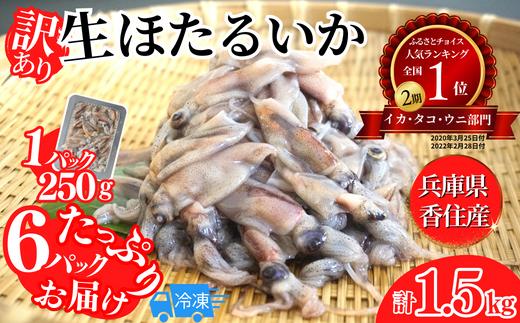 【たっぷり2kg！】兵庫県香住産　生ほたるいか（250g×8パック）【日本海フーズ（にしとも　かに市場）】