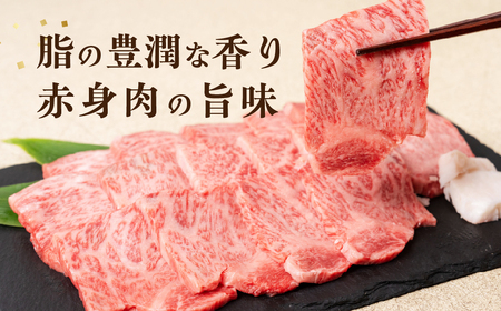 飛騨牛 カルビ焼肉 500g 冷凍 焼き肉 JAひだ 飛騨牛 [AH003]