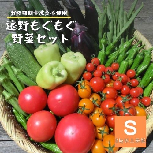 【ふるさと納税】自然農法 自然栽培 夏野菜 セット Sサイズ 約 7〜10種類 2.0kg以上保証 栽培期間中 農薬不使用 農家 朝採り直送 遠野もぐもぐカントリー