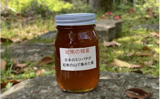 
純粋日本蜂蜜（紀南の蜂蜜）　600g / 田辺市 はちみつ ハチミツ 蜂蜜 無添加 国産 山蜜
