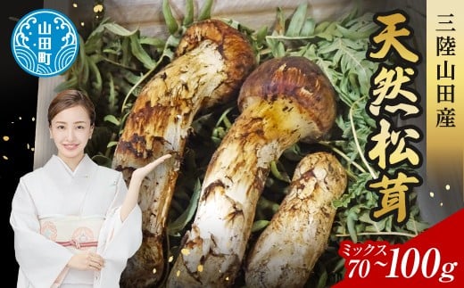 ≪2025年先行予約 9月中旬～10月下旬発送予定！≫三陸山田産松茸（ミックスサイズ）【配送日指定不可】 三陸山田 山田町 まつたけ マツタケ 野菜 山田産野菜 【ベルアクト】 YD-897