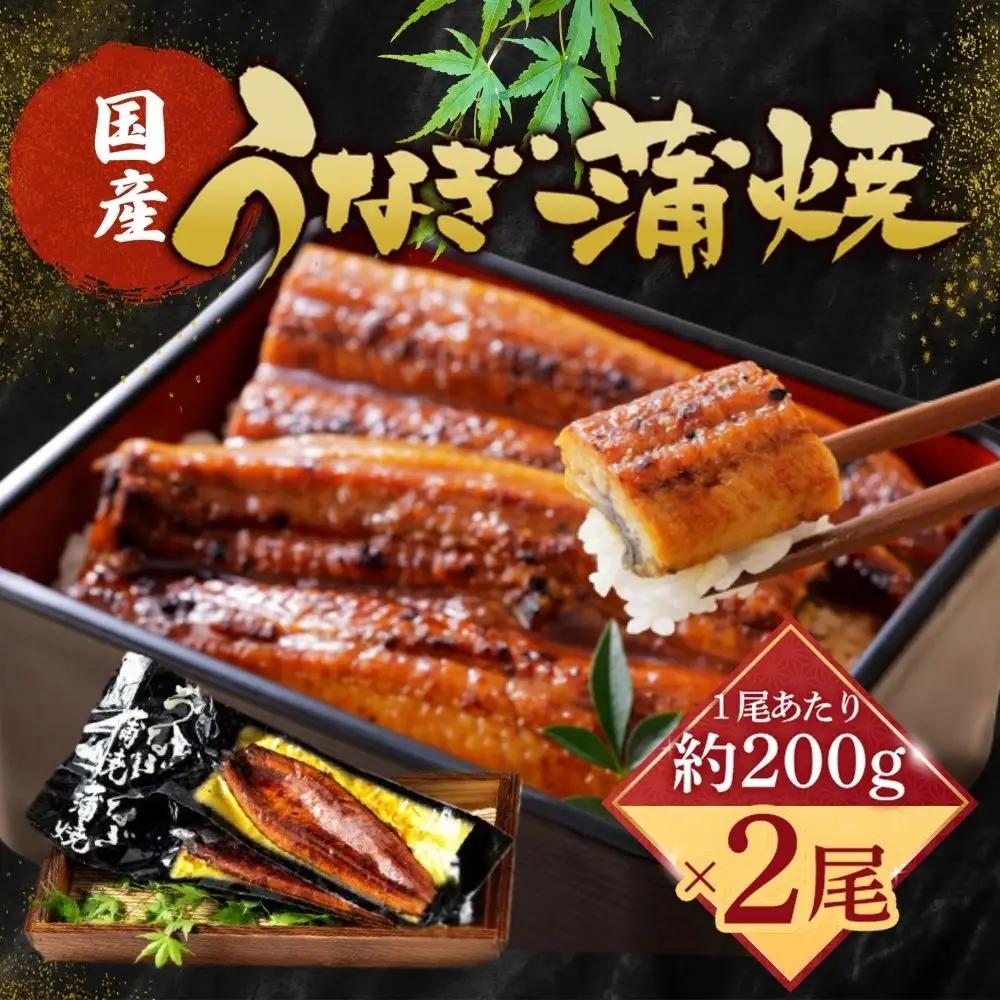 【国産うなぎ蒲焼】200g×2尾（合計400g）