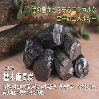 ふるさと納税 美波町 【森林の豊かさを守るエシカルな備長炭】樵木(こりき)備長炭12キロ |  | 01