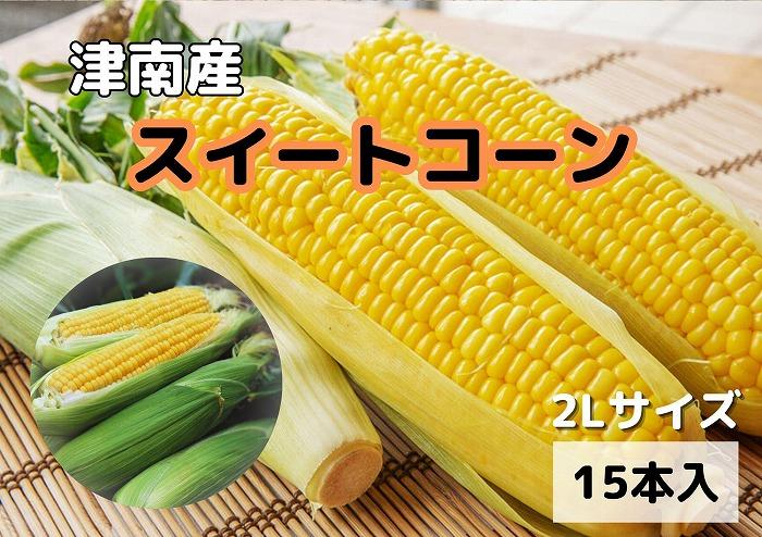 【令和8年産 先行予約】【新潟県 津南町産】朝採りスイートコーン 2Lサイズ 15本（1本約400g）