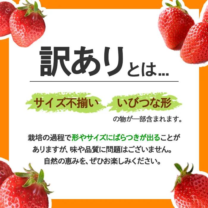 ＜先行予約！2027年3月下旬以降順次発送予定＞＜訳あり＞香川県産 さぬきひめいちご(約500g) 国産 果物 苺 イチゴ フルーツ 産地直送 冷蔵便 【man106-A】【Aglio nero】