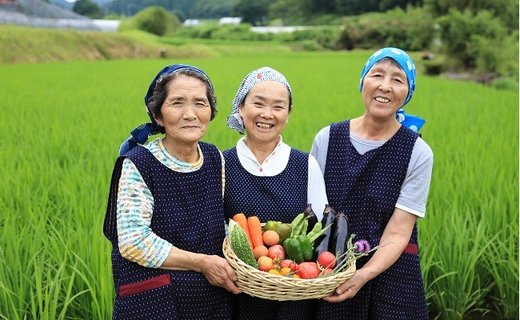 毎年大人気！阿蘇ピクルス5本セット  阿蘇ピクルス 5本 セット 5種 140g ピクルス 詰め合わせ ピーマン パプリカ 里芋 きゅうり 胡瓜 アイコトマト 大根 ギフト 贈答用 工房　菜々色 熊本 阿蘇 南小国町 送料無料