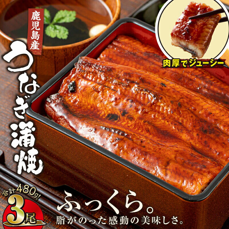 【ふるさと納税】【土用の丑の日特集】うなぎ 蒲焼 鹿児島産 鰻 160g 3尾 合計480g 地下水で育った 絶品 蒲焼き 養殖 本場 鹿児島 より 直送 たれ 付 真空パック 湯煎 レンジ 簡単調理 国産 国産うなぎ うなぎ蒲焼 鹿児島県 鹿屋市 【財宝】