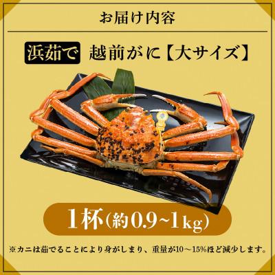 ふるさと納税 越前町 越前がに 浜茹で 大サイズ(生で約0.9〜1kg) × 1杯 約2人前【1月より順次発送】 |  | 02