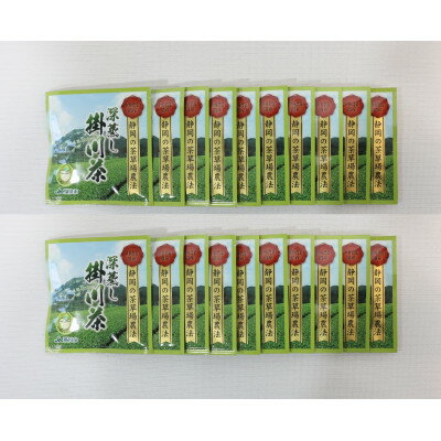 【ふるさと納税】掛川東山茶「ささゆり」ティーバッグ　5g×20袋【配送不可地域：離島・沖縄県】【1719043】