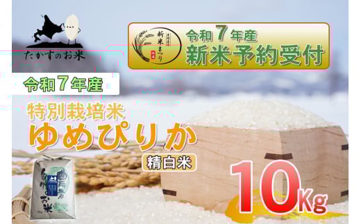 【令和7年産】 ゆめぴりか (精白米) 北海道 米 を代表する人気の品種 10kg 【2025年10月上旬発送開始】 北海道 鷹栖町 たかすのお米 米 コメ こめ