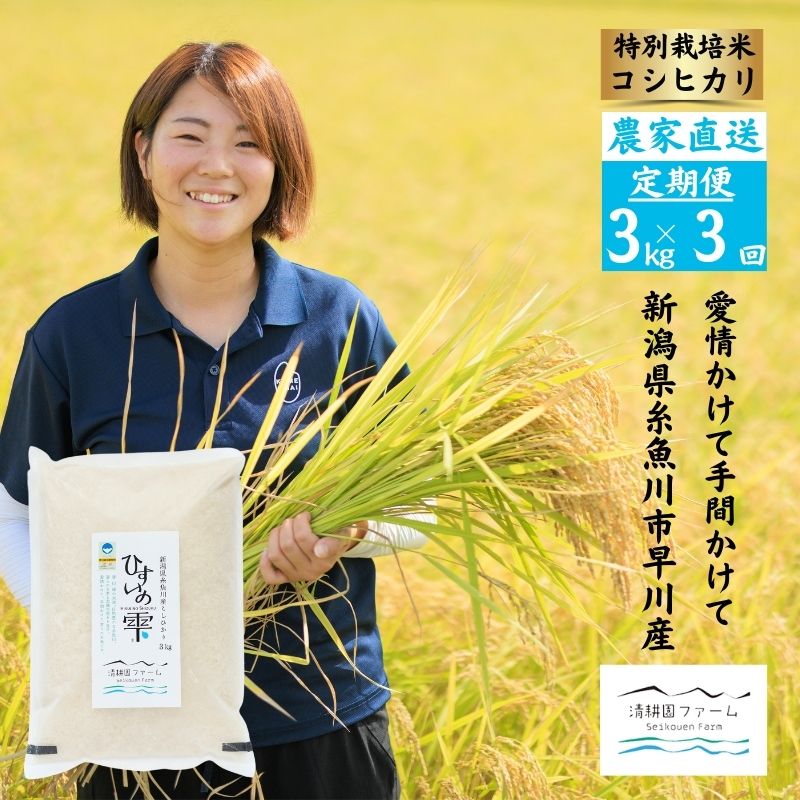 【ふるさと納税】 新潟県産 コシヒカリ 『ひすいの雫』 「3ヵ月定期便」 3kg×3回 毎月お届け (計9kg） 令和7年産 農家直送 糸魚川 清耕園ファーム プロも認めたうまいコメ 特別栽培米 新潟県産コシヒカリ 3kg 美味しい 農家自慢 お米 白米 おにぎり お弁当 コメ 米