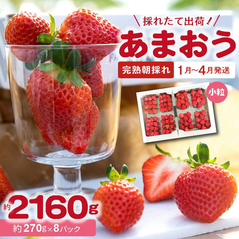 【ふるさと納税】【4月23日まで受付】 採れたて 出荷 完熟朝採れ いちご あまおう 270g × 8パック 計 約 2160g 福岡 代表 ブランドいちご 人気 真っ赤 完熟 爽やか 甘み みずみずしい 果物 フルーツ デザート お取り寄せ お取り寄せグルメ 冷蔵 福岡県 上毛町産 送料無料