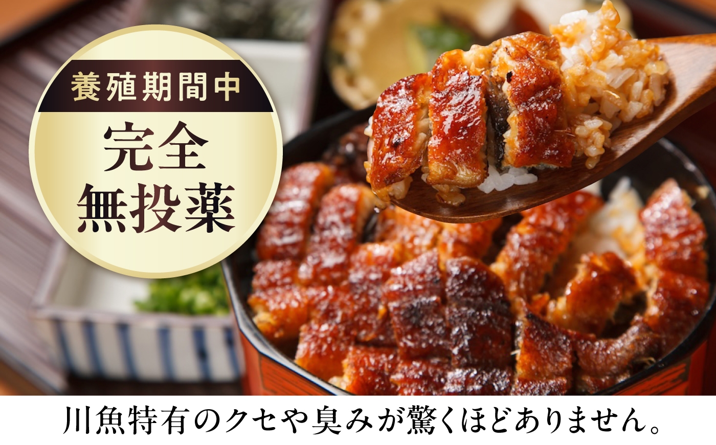 鰻 うなぎ ウナギ 蒲焼 蒲焼き 白焼き 国産 ギフト 冷凍 土用の丑の日