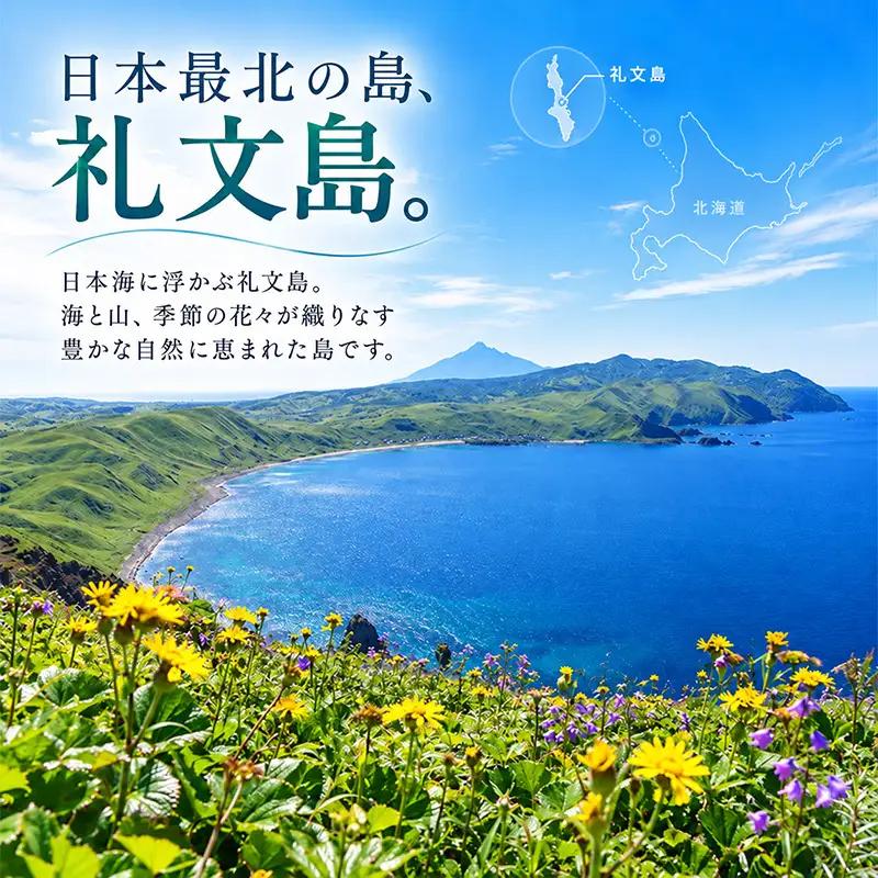 【返礼品なし】北海道 礼文町 ふるさと応援寄附金 50,000円コース ［北海道礼文町］【 寄附のみ 応援 支援 礼文島 地域貢献 自然保護 地方創生 まちづくり ふるさと納税 】
