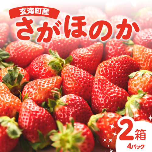 ★予約受付★平川いちご農園 佐賀県玄海町産いちご「さがほのかDX」2026年1月～4月順次配送