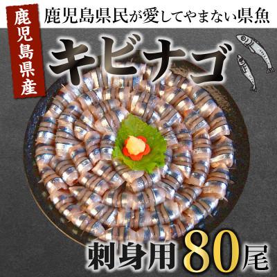 ふるさと納税 南九州市 鹿児島産「キビナゴ」刺身用80尾 008-66