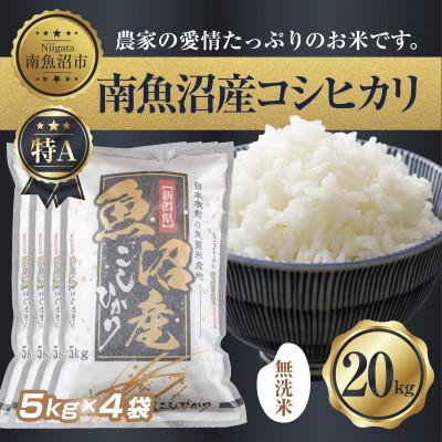 ふるさと納税 南魚沼市 【無洗米】南魚沼産 コシヒカリ 5kg×4 計 20kg(お米の美味しい炊き方ガイド付き)