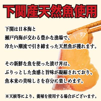 ふるさと納税 下関市 漬け丼 セット 計 6食分 冷凍 マグロ タイ ブリ 詰め合わせ 刺身 海鮮 EY036 |  | 02