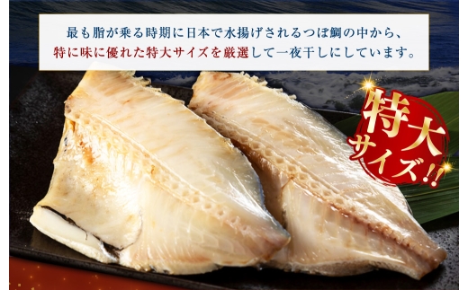 【 14営業日以内に発送 】 釧之助 極旨つぼだい半身 100g × 2パック 計200g タイ たい 鯛 つぼ鯛 魚 魚類 魚介 魚介類 海鮮 干物 一夜干し おつまみ 晩酌 おかず 冷凍
