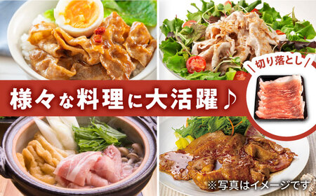 【3回定期便】若楠三元豚 切り落とし 1kg /ナチュラルフーズ [UBH074] 切り落とし