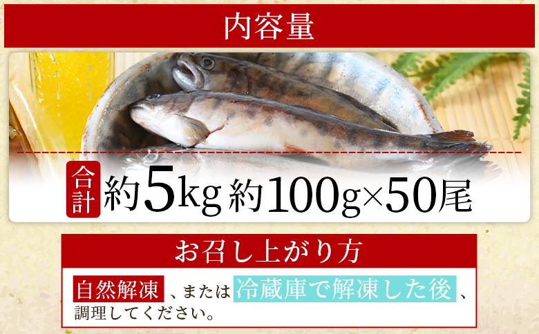 ＜新鮮冷凍ヤマメ 50尾＞ 国産 九州産 尺ヤマメ 山女魚 水産物 魚 魚介 川魚 養殖魚 塩焼き バーベキュー BBQ【MI773-sk】【有限会社しゃくなげの森】 約100g×50尾