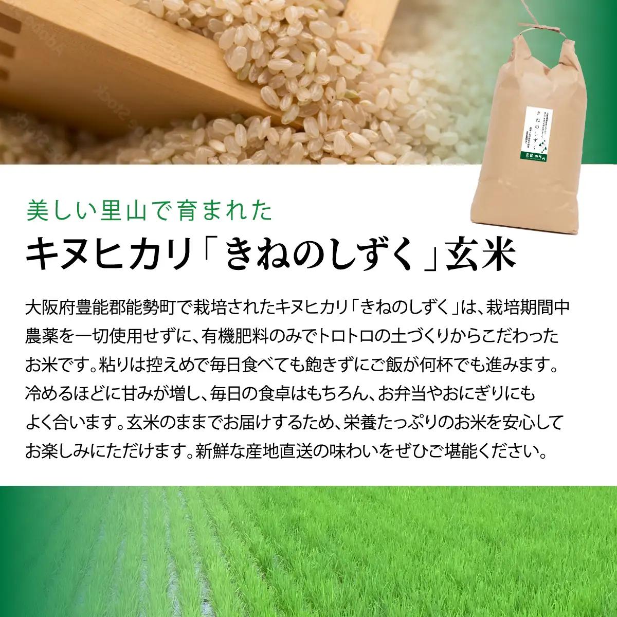 《予約受付中》令和8年産きぬひかり「きねのしずく」玄米 10kg 栽培期間中農薬・化学肥料不使用 | 農園のら | 米 玄米 10kg キヌヒカリ 中農薬 化学肥料不使用 自然栽培 特別栽培 | おに
