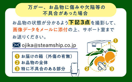 【先行予約】 びわ Mサイズ【化粧箱入り】 ビワ びわ びわ 長崎県 小値賀 大島 九州 【神川農園】[DBT005]