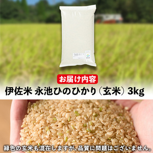 isa535 令和5年産 特別栽培米 永池ひのひかり玄米(3kg)鹿児島 永池 お米 米 玄米 伊佐米 九州米サミット 食味コンテスト 最優秀賞受賞 ヒノヒカリ【エコファーム永池】