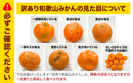 訳ありみかん 5kg こだまファーム
