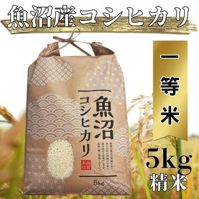 ふるさと納税 魚沼市 【令和7年度産】魚沼産コシヒカリ 精米 5kg 一等米