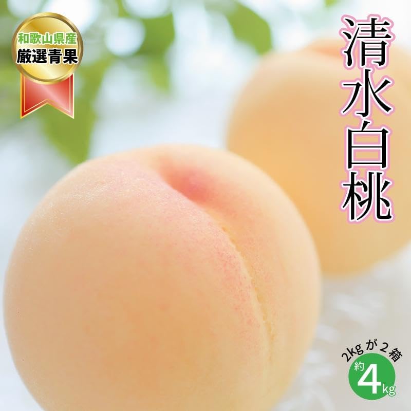 【ふるさと納税】 【糖度12％！！】契約農家自慢の清水白桃　(約4kg)【2026年7月中旬～8月上旬発送予定】