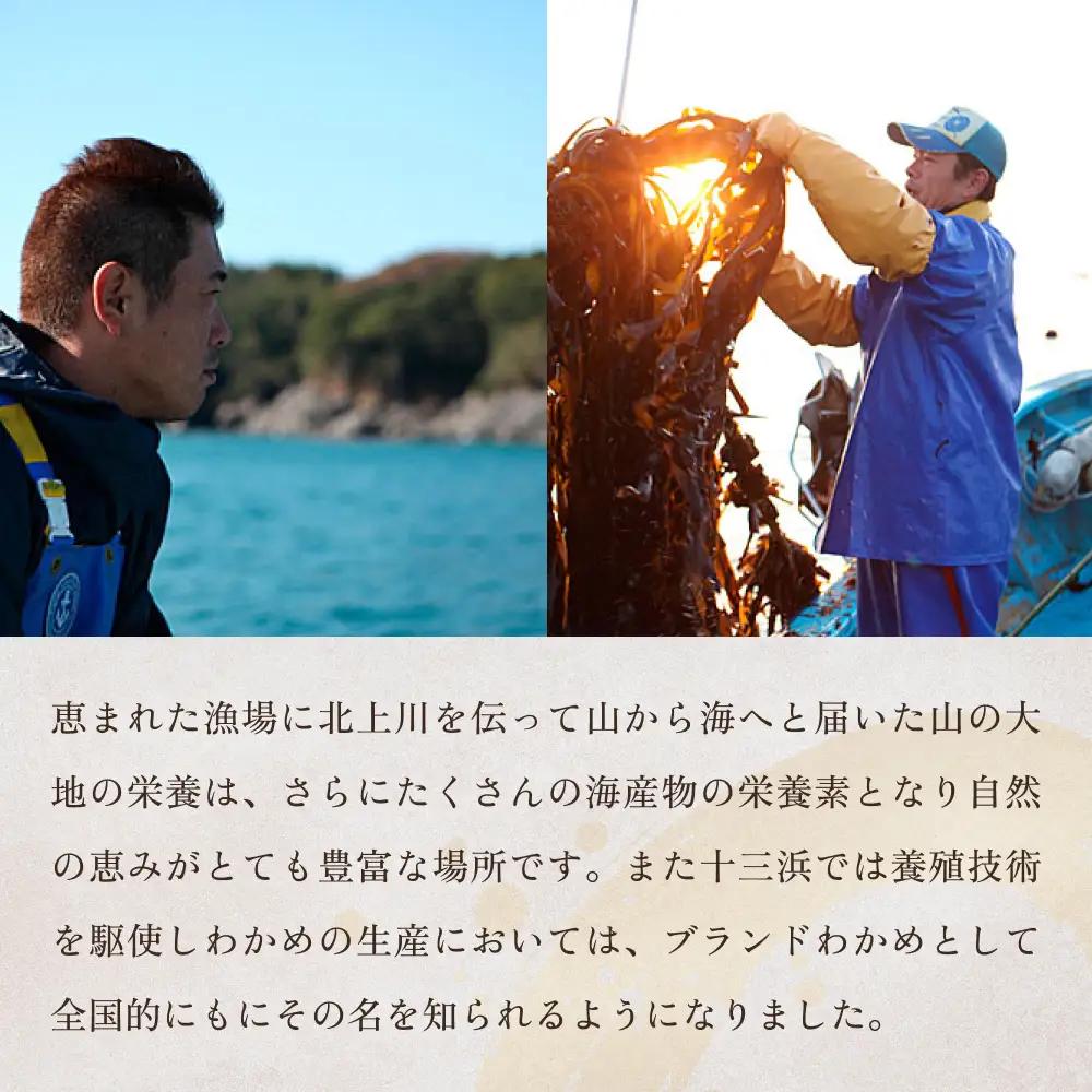 十三浜　浜だより（わかめ・こんぶ・海藻6種7品）