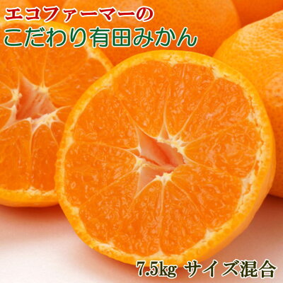 ZD92068_【2025年先行予約】エコファーマーのこだわり 有田みかん 7.5kg (サイズ混合・秀・優品)