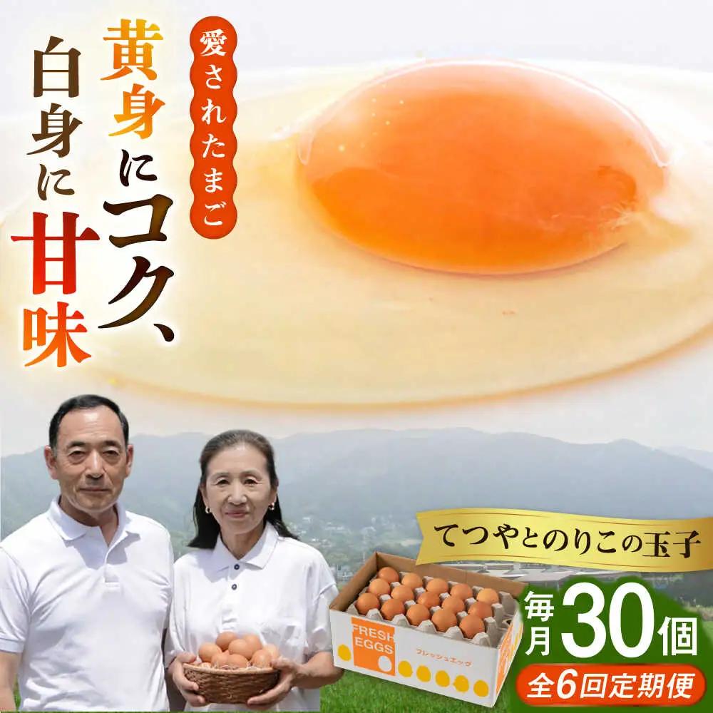 【全6回定期便】卵 30個×6ヶ月 てつやとのりこの玉子 卵 たまご [AWD009]