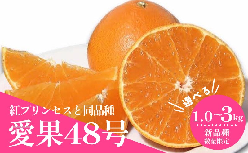 
                  【2027年3月上旬頃から順次発送】  愛果48号（紅プリンセスと同品種） 1.0 / 3.0kg ｜あいか 愛果 紅まどんな × 甘平 紅プリンセス と同品種 みかん 蜜柑 ミカン 柑橘 果物 フルーツ 松山市産みかん 新品種 甘い 美味しい 酸味 おすすめ お取り寄せ グルメ ギフト 期間 ご当地  愛媛県 松山市
                