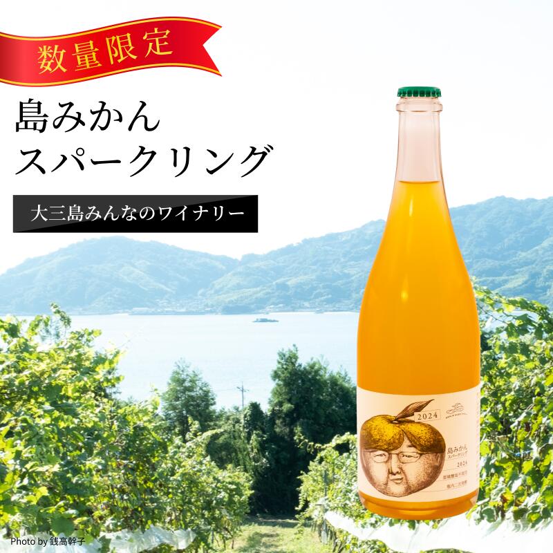 【ふるさと納税】【数量限定】島みかんスパークリング＜750ml＞【V003350】ふるさと納税 今治市 今治 大三島 今治産 お酒 洋酒 果実酒 ワイン スパークリングワイン ワイン好き 爽やか ギフト プレゼント ワイナリー 伊東豊雄 大三島みんなのワイナリー