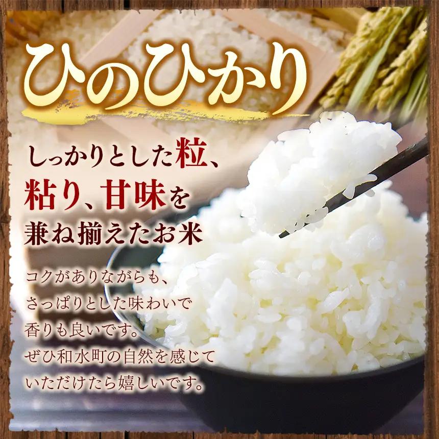 【 新米 予約 】 令和8年産 熊本県産 ひのひかり 無洗米 15kg 米 こめ