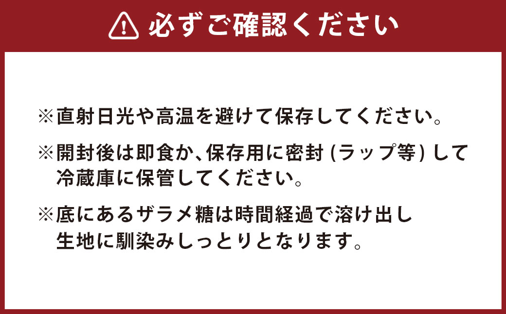 長崎カステラ1.0号／580g ( 10切カット ) ×2本 異人堂 かすてら カット済み