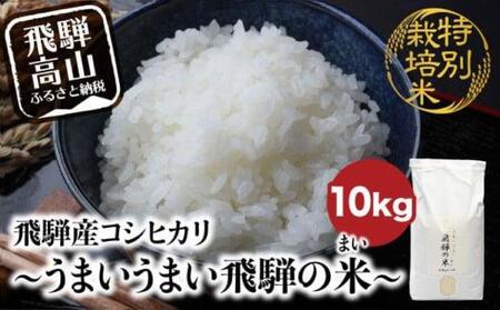 【令和7年産】 飛騨産コシヒカリ白米 「うまいうまい飛騨の米」 白米 10kg | こしひかり 飛騨産 精米 お米 特別栽培米 飛騨高山 ファームジネンいいむら GG016