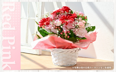 定期便 ≪12ヶ月連続お届け≫ 季節のフラワーアレンジメント M (レッド・ピンク) 花束 生花 プレゼント [L-20703_01]