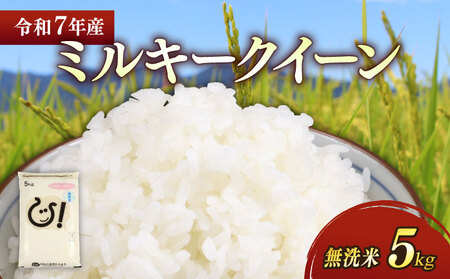 【新米】【無洗米】令和7年 彦根産 米 ミルキークイーン 5kg