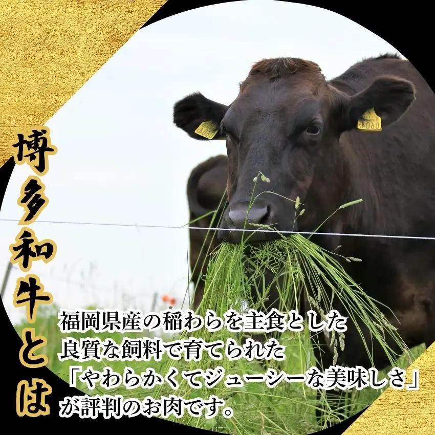 博多和牛 A5 A4 サーロイン ステーキ 計800g 定期便 5回 | 博多和牛