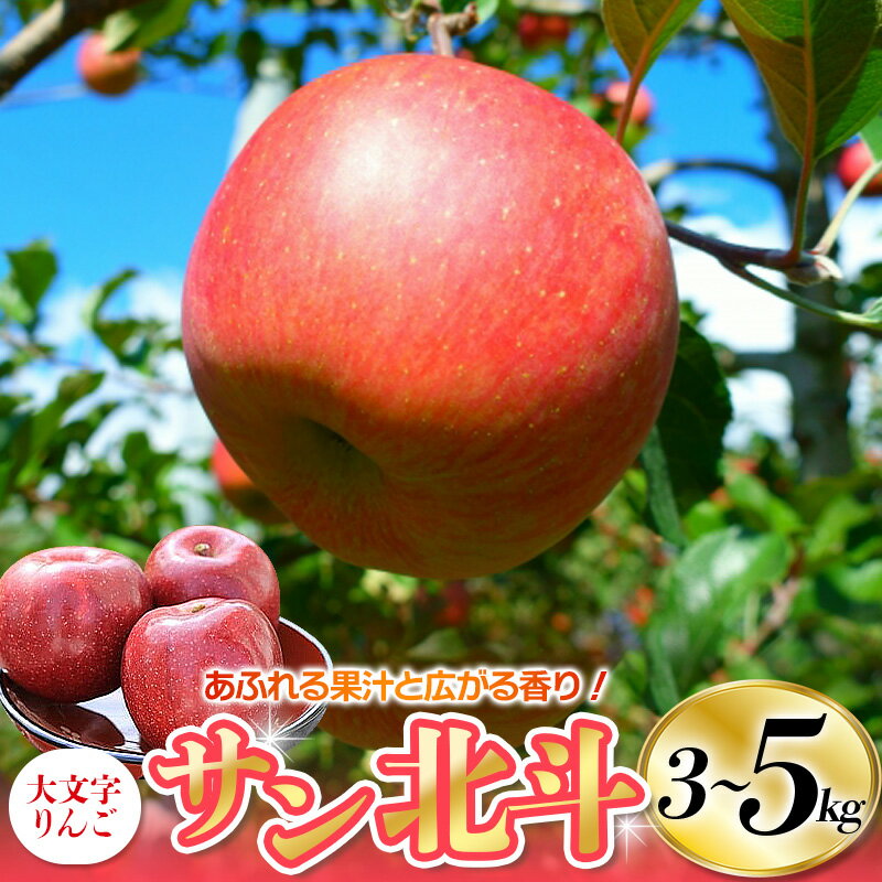 【ふるさと納税】【令和7年度分予約受付】りんご サン北斗 約3kg (7〜10玉)～約5kg (18～20玉) 大文字りんご園 / 蜜 国産 樹上完熟 幻のりんご 果物 くだもの フルーツ 甘い 旬 産地直送 【2025年10月下旬頃より順次発送】